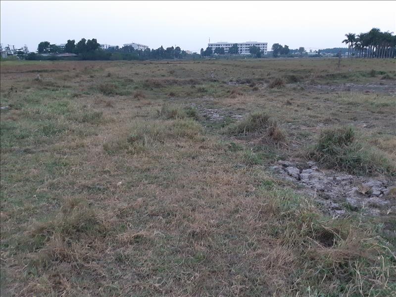 Bán đất mặt tiền đường Trần Hải Phụng, Vĩnh Lộc B, Bình Chánh 4.5x24.5=110m² quy hoạch đất ở nông thôn sổ hồng riêng