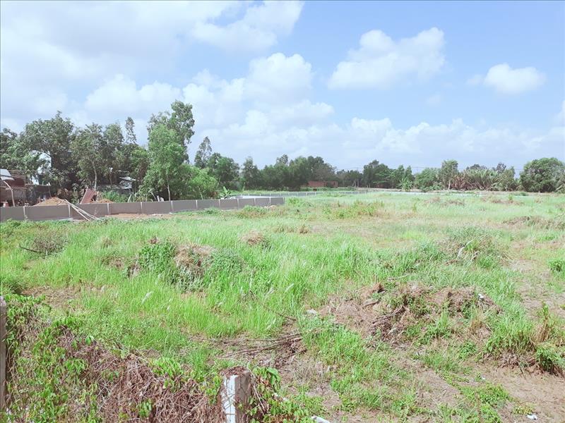 12500m2 đất trồng cây lâu năm 12500m2 đất trồng cây lâu năm