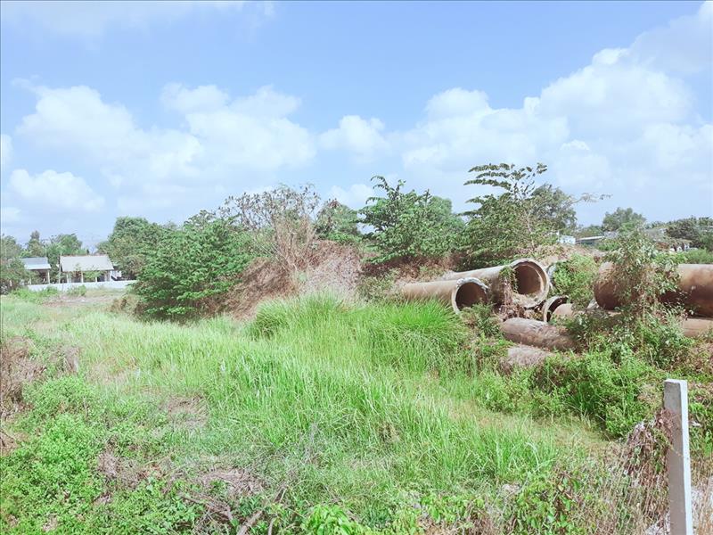 12500m2 đất trồng cây lâu năm 12500m2 đất trồng cây lâu năm