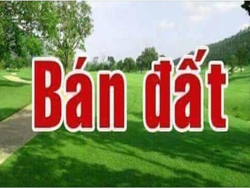 BÁN ĐẤT Dự án Mão Điền THUẬN THÀNH BẮC NINH giá công khai 1 tỷ 760 lô
