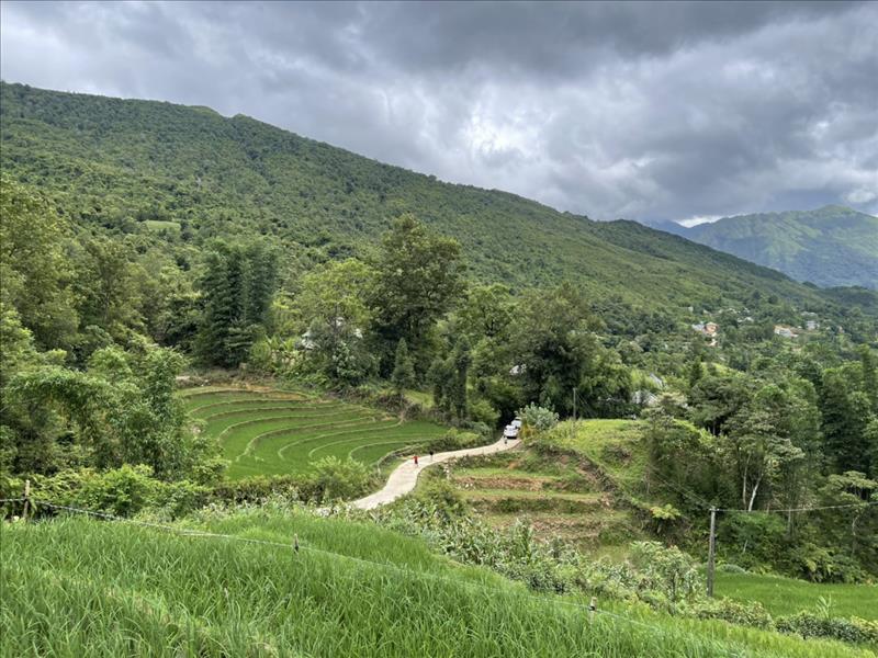 Cần bán gấp mảnh view ruộng bậc thang siêu đẹp Lao Chải Y Tý giá ưu đãi Cần bán gấp mảnh view ruộng bậc thang siêu đẹp Lao Chải Y Tý giá ưu đãi