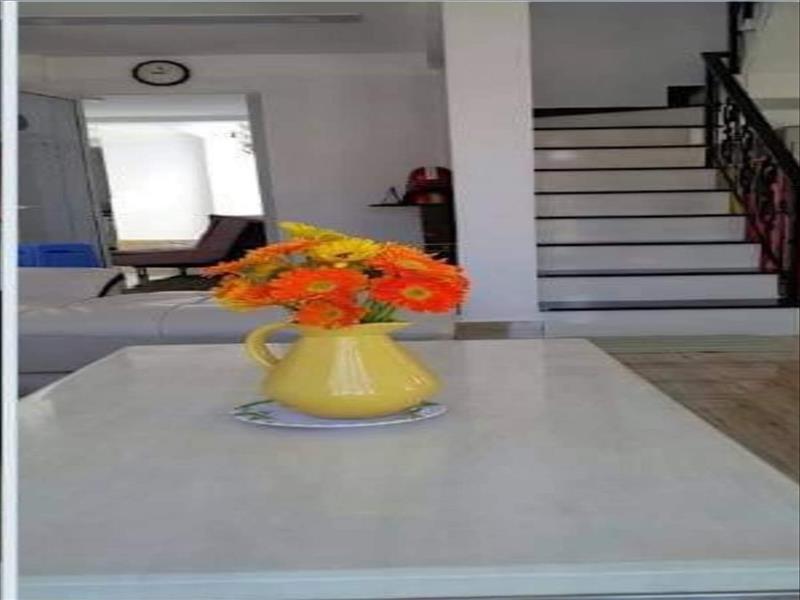 Cần tiền bán gấp đất XD giá rẻ đường Lữ Gia, Đà Lạt giá 235 tỷ Cần tiền bán gấp đất XD giá rẻ đường Lữ Gia, Đà Lạt giá 235 tỷ