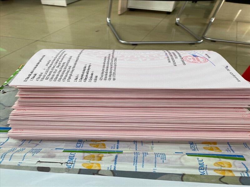 Đất nền Nhơn Hội New City, pk2,4,9, suất ngoại giao Đất nền Nhơn Hội New City, pk2,4,9, suất ngoại giao