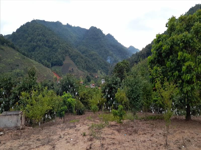 Đất nền trung tâm khu đô thị Quốc Gia Mộc Châu