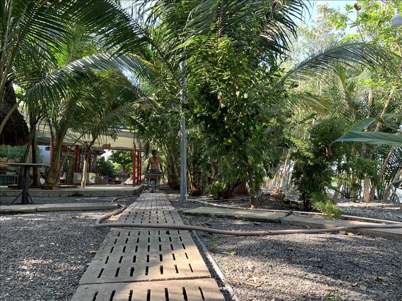 Cần bán đất tại Đường Số 156 Bình Mỹ ,Củ Chi ,TP HCM Cần bán đất tại Đường Số 156 Bình Mỹ ,Củ Chi ,TP HCM