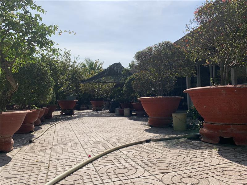 Cần bán đất tại Đường Số 156 Bình Mỹ ,Củ Chi ,TP HCM Cần bán đất tại Đường Số 156 Bình Mỹ ,Củ Chi ,TP HCM