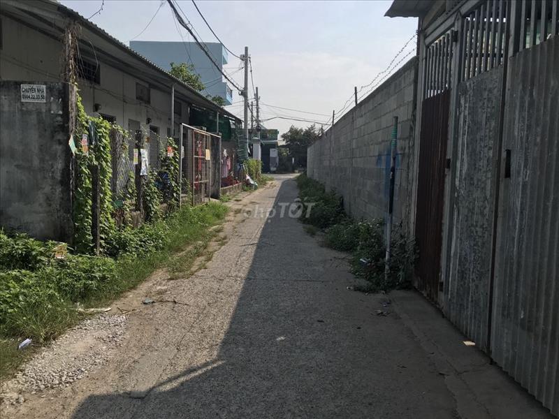 Bán hoặc cho thuê đất đường Tân hiệp 46, 4200m2 Bán hoặc cho thuê đất đường Tân hiệp 46, 4200m2