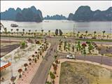 Bán đất nền ven biển Hạ Long Cẩm Phả giá rẻ hơn thị trưởng lên đến 300tr