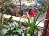 SIÊU PHẨM NÓNG BỎNG TAY BAY SIÊU TỐC MẶT CHỢ KINH DOANH Ô TÔ TRÁNH Ô TÔ VÀO NHÀ NHÀ CỰC ĐẸP KHU VỰC HIẾM NHÀ BÁN