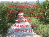 Bán lô đất vườn Diên Thọ 32ha, đang trồng cây ăn quả, giá chỉ 13 tỷha