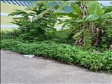 CHÍNH CHỦ CẦN BÁN ĐẤT TẠI XÃ LONG SƠN TP VŨNG TÀU