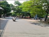 Bán Lô Góc Mặt Đường Quang Trung, Kinh Doanh Cực Đỉnh Cực Chất