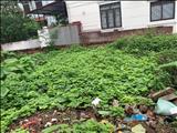 Bán nhanh mảnh đất xóm 7 Đông Dư Gia Lâm DT 35m2 giá đầu tư 105 tỷ LH 0983253436